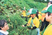 五箇山ぼべらの収穫を体験する子どもたち