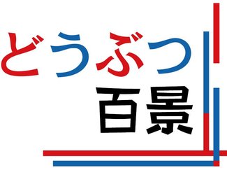 どうぶつ百景展、親子で楽しんで　県水墨美術館で２２日と９月１２日、家族連れウェルカムデー