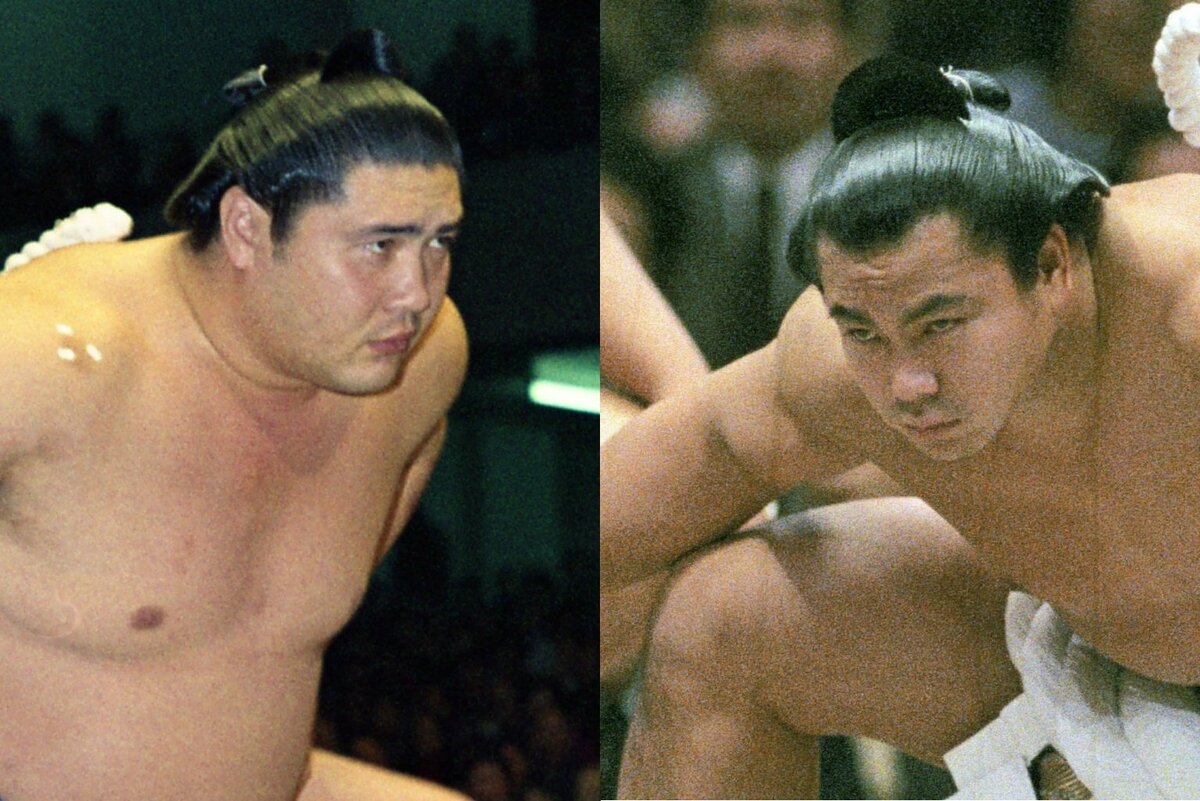 昭和の大横綱」の意外な系譜｜北日本新聞webunプラス