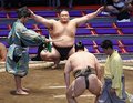 頑張れ朝乃山！ なるか幕下１場所通過