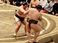 朝乃山速攻４連勝　大相撲夏場所４日目