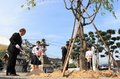 サクラに平和誓う　富山市で植樹式と慰霊祭