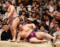 朝乃山５連敗、負け越し　大相撲春場所