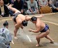 豊昇龍１０連勝、大の里１差追走