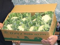 カリフラワー「ゆきまる。」食べて　　入善・朝日の生産者団体