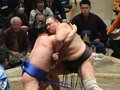 朝乃山快勝、９勝目　大相撲初場所１２日目、優勝争い１差追走