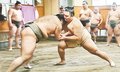 朝乃山 合同稽古せず部屋で調整　１９日にも本格稽古「できることをやるだけ」
