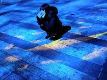 富山湾に包まれて。