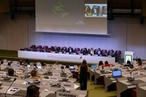 水銀含む銀歯、２０３４年末禁止