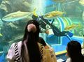 孫とおでかけ支援事業で水族館へ🐟