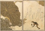 喜多川歌麿「画本虫撰」上・下巻　１７８７（天明７）年（前後期で場面替え）東京都江戸東京博物館蔵