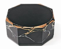 ＜技と美　未来へ＞日本伝統工芸富山展（１）<br />日本工芸会賞／城端蒔絵飾箱「Ｅｃｌｉｐｓｅ　II」　十六代小原治五右衛門さん（漆芸、南砺）