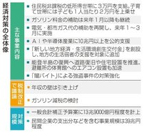 低所得世帯に３万円決定　政府経済対策、「年収の壁」引き上げ幅焦点