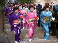 まるまげ祭り２年ぶり巡行　氷見市観光協会、参加者募る