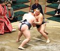 朝乃山１敗対決制す、２１日にも優勝　大相撲初場所１３日目