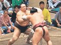 朝乃山「気迫負け」、近畿大の後輩と対決　大相撲秋場所１３日目