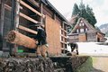 世界遺産にようやく春　南砺・相倉合掌造り、雪囲い「オオダレ」外す