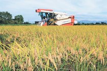 ２５年県産米９５％売り先確保　２５年末時点、全国平均上回る