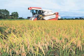 ２５年県産米９５％売り先確保、２５年末時点で全国平均上回る　県議会一般質問