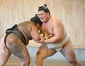 新横綱大の里が本格始動