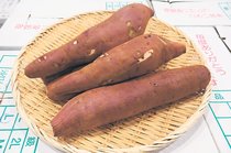 ＜旬を召し上がれ＞サツマ芋<br />サクサク ほくほく