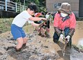 マコモタケ、収穫心待ち　氷見・海峰小３年、泥んこで苗植え