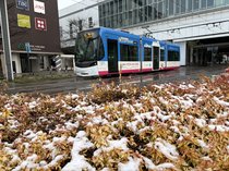 雪のところも、８日の県内