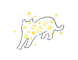 わたしの体にあいつらがいる<br />歌人・島楓果