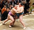 朝乃山 玉鷲を送り出し連勝　初場所２日目