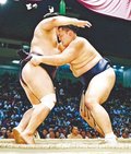 朝乃山１０勝目、妙義龍を寄り切る　名古屋場所１３日目