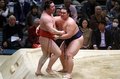 朝乃山４連勝で９勝目　いきなりの頂点も