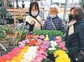 花々鮮やか、冬景色彩る　富山の園芸店に次々と入荷