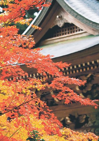 よろずご指南 生き方アドバイス<br />６０代での転職 仕事選ぶこつは？