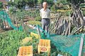 てくてく風土記<br />射水市大江地区（１）坂井榮作さん／１０４歳、元気に畑仕事