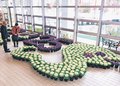 白ヘビ眺めて開運　砺波・県花総合センター、葉ボタンで「巳」表現