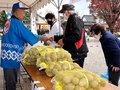 特産サトイモに行列　南砺・福野で「ごっつぉまつり」、グルメコーナーも人気