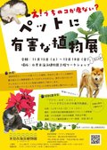 え！うちのコが危ない？ペットに有害な植物展