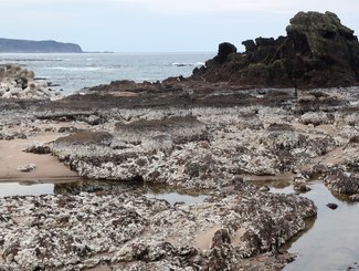 「もう漁はできん」時間が止まった輪島、カメラマンが今を撮影【写真映像部発１・１震災】