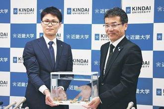 射水の近畿大実験場がノドグロ完全養殖成功　高級魚、３年後飲食店へ