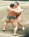 一気の押しで連勝　大相撲初場所
