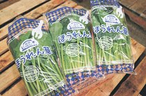 ＜旬を召し上がれ＞ホウレン草<br />寒い冬にぴったり