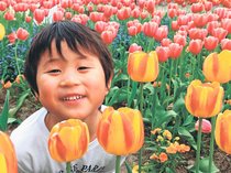 ＜あしたを生きる　交通遺族の歩み＞上<br />懲役４年にやるせなさ　飲酒運転、次男犠牲に