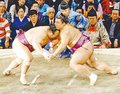 朝乃山 宝富士を寄り切り９勝目　九州場所１１日目