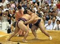 相撲ファン３０００人沸く　魚津場所