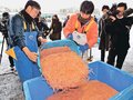 シロエビ漁、幸先良し　解禁初日大漁、射水・新湊の漁師安堵