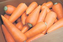 ＜旬を召し上がれ＞ニンジン<br />苦手な人もおいしく