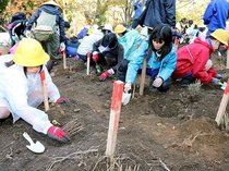 菅沼合掌集落継承へ　新カヤ場を造成