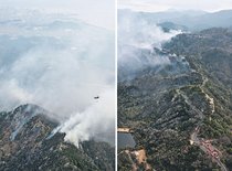 岡山と愛媛で山林延焼続く　陸自ヘリが散水、一部で停電