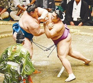 朝乃山、碧山を寄り切り６勝目　秋場所８日目
