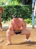 ２桁目指し自分の相撲　朝乃山、初日に向け稽古